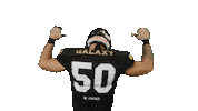American Football Sticker by Frankfurt Galaxy