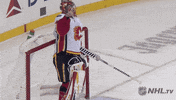 Happy Ice Hockey GIF by NHL