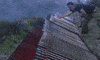 fireworks launch GIF