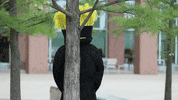 Wu_Shock wu wsu wearamask maskup GIF