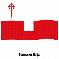 Castilla-La Mancha Flag GIF by Formación Ninja