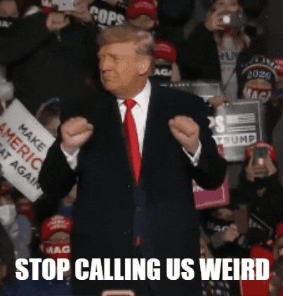 petesauber giphygifmaker dance weird trump GIF