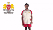 CaseySouthMelbourneCC swans csmcc caseysouthswans GIF