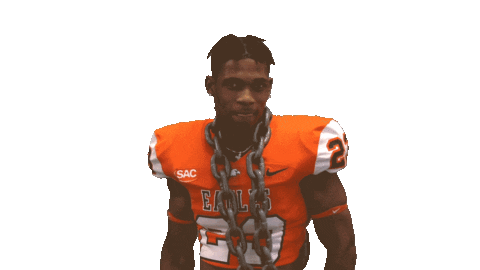 Clap Shrug Sticker by Carson-Newman Athletics