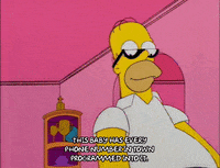 homer simpson GIF