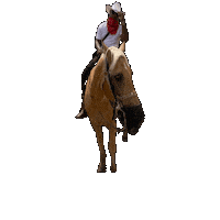Country Boy Sticker by Cowboy5