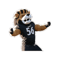 Game Day Leo Sticker by Lindenwood University