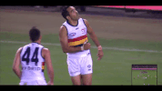eddie afl GIF by Adelaide Crows