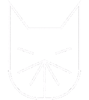 galattico cat animation motion visual Sticker