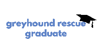 Rescue Dog Sticker by Greyhound Rescue