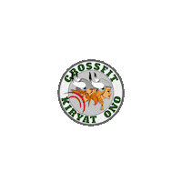cfkono crossfit vikings viking ישראל Sticker