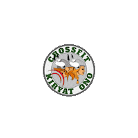 cfkono crossfit vikings viking ישראל Sticker
