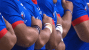 Rugby Union Sport GIF by Rugby World Cup