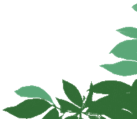 Planten Luiaard Sticker by Opgroeien