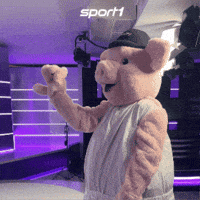 Ball Pig GIF by SPORT1