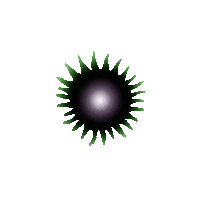 Art Flower Sticker by Orla in Berlin