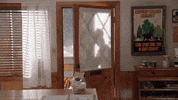 tbs GIF by The Guest Book
