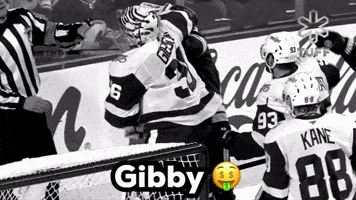 Red Wings Hockey GIF