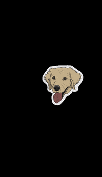Ellimarrs goldenretriever essogoldie essobirthday essobosek GIF