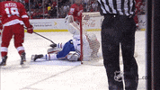 ice hockey canadiens GIF by NHL