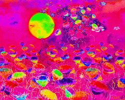Animation Pink GIF