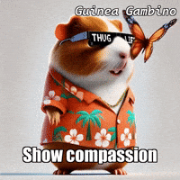 GIF by Guinea Gambino