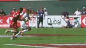 GIF by World Rugby