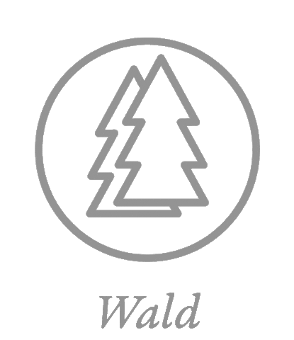 waldskateboards giphyupload nature tree wild Sticker