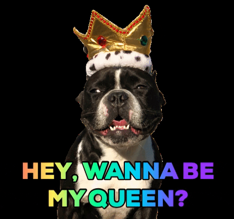 oscarfrenchienyc giphygifmaker love romance queen GIF