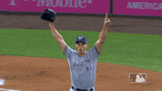 Major League Baseball Sport GIF by MLB