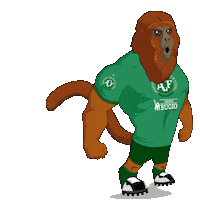 grupobugio chapecoense grupobugio grupobugiochapeco Sticker