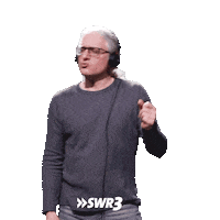 Song Dancing Sticker by SWR3