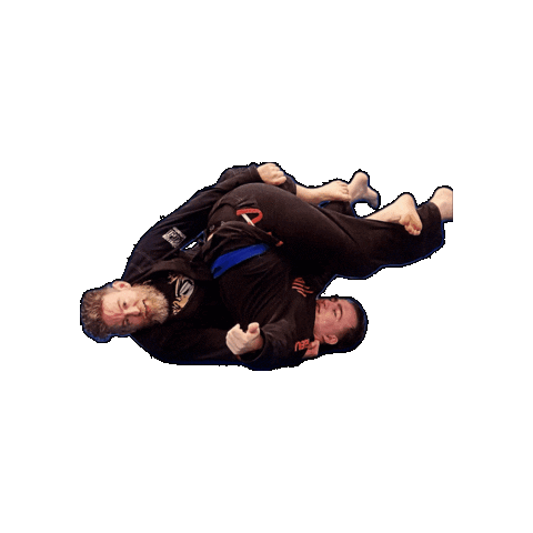 Ufc Grappling Sticker