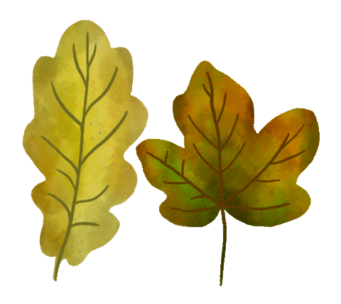 Fall Season Falling Sticker