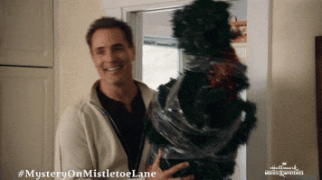 Christmas Hallmark Movies And Mysteries GIF by Hallmark Mystery