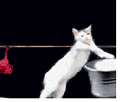 laundry GIF