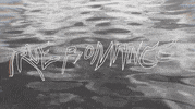 true romance love GIF by Vacation Forever