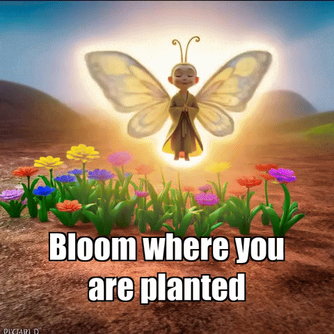 Buddhafly Character GIF by BuddhaFlyJourney
