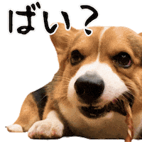 Corgi Milo Sticker