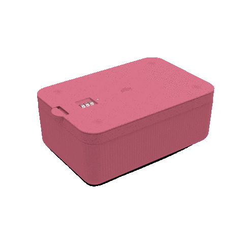 Box Ally Sticker by TheAllyCo