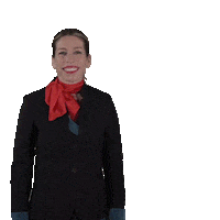 Cabin Crew Plane Sticker by Iberojet