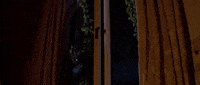 GIF by The Orchard Films