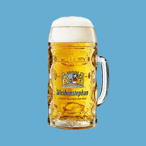 weihenstephanusa giphygifmaker beer cheers germany GIF