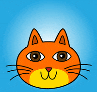 Cat GIF by joeyahlbum