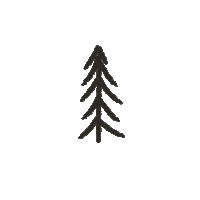 landschoolmx highschool pines pinos landschool Sticker