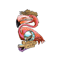 CastawayCoffeeOfficial coffee coffee lover island vibes cast away Sticker