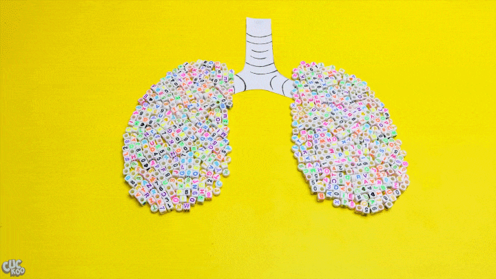 Surprise Smoking GIF by Cookingfunny