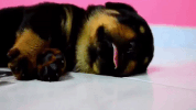 GIF by DeAPlaneta