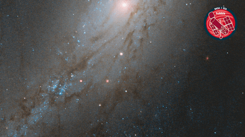 Stars Glow GIF by ESA/Hubble Space Telescope