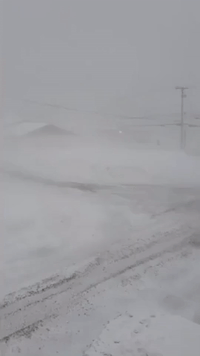 Blizzard Conditions Seen in Central Vermont Amid Snow Squall Warnings
